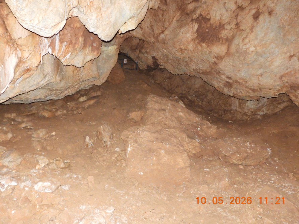 DSCN0390.JPG.37c37ba6c92555c5cf6d5474b5b2ffb2.JPG